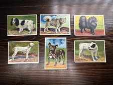 1910-1912 T96 Prize Dog Series Lot - 6 of 10 in Set - Amazing Condition picture