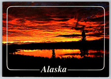 Spectacular Alaskan Sunrise Anchorage Alaska Scenic View Postcard picture