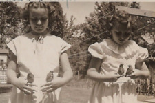 4Y Photograph Girls Holding Baby Birds Portrait 1953 Cedar WaxwIngs picture