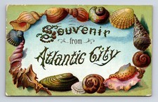 1909 Shell Border Souvenir Atlantic City NJ HUBIN's Big Post Card Store Postcard picture