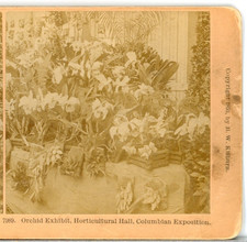 Chicago Columbian Worlds Fair, Horticultural Hall, Orchid Exh.--Stereoview WF16 picture