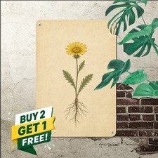 vintage botanical illustration yellow flower roots single centered picture