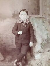 C1880/90s Cabinet Card Baltimore MD Adorable Boy Against Paper Mache Rock A310 picture
