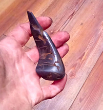 Petrified And Polished Black