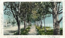1905 Lovers' Lane Capitola CA Postcard Detroit Photographic Co Monterey Bay View picture
