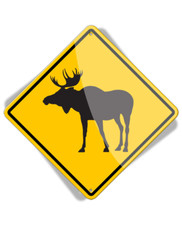 Caution Moose Crossing - Aluminum Sign picture
