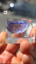 FLUORITE (Tri Colour) - La Barre Mine, Puy-de-Dôme, France picture